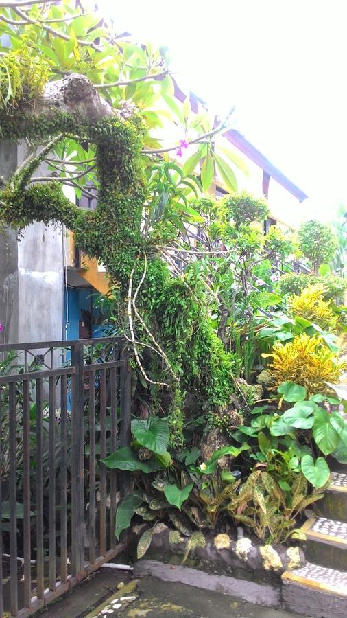 Betesda Guest House Canggu Kültér fotó